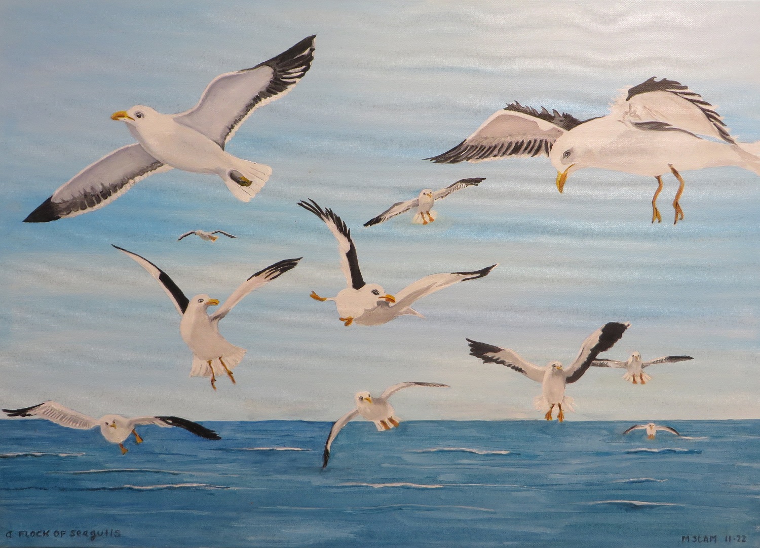 Flog of seagulls