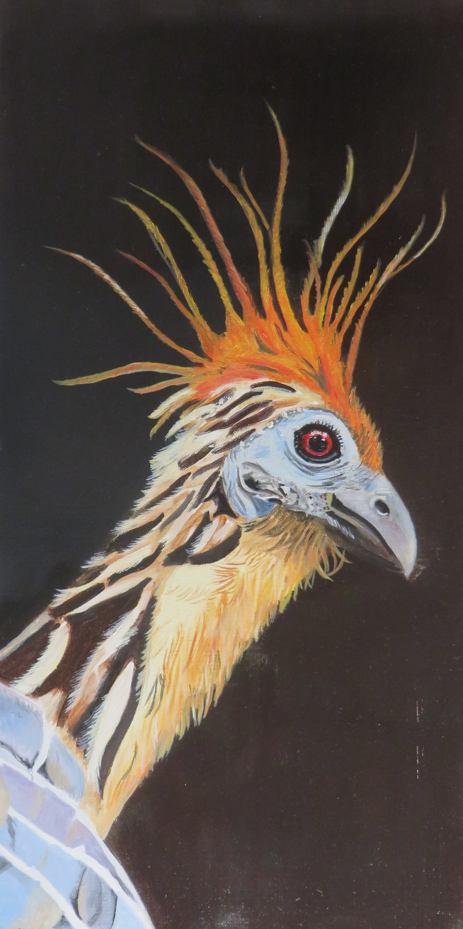 Stinkvogel 1