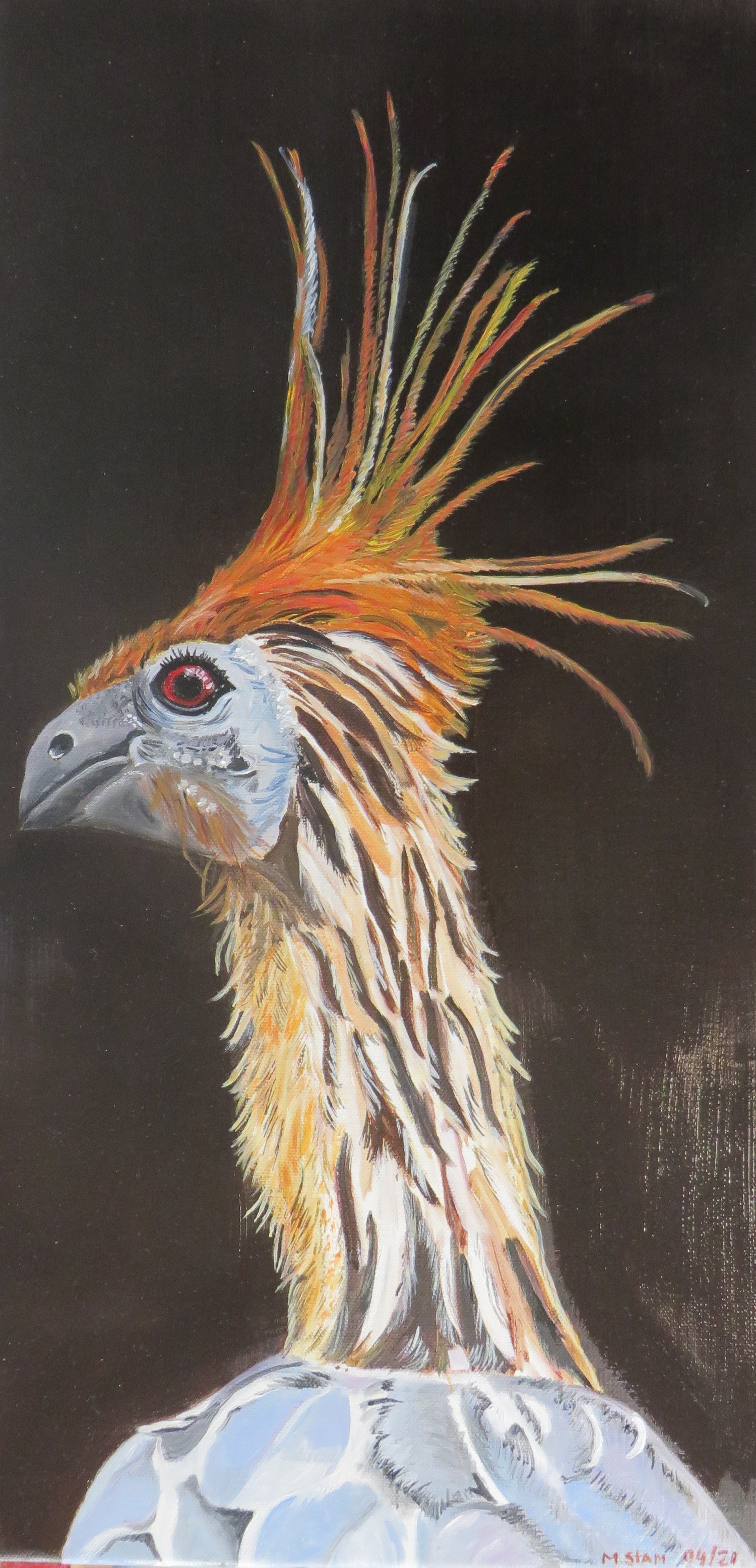 Stinkvogel 2